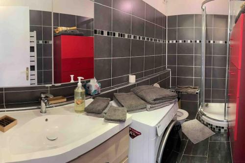 une salle de bain avec un lavabo et une machine à laver dans l'établissement Appartement 2 pièces 6mn à pied du centre, à Vence