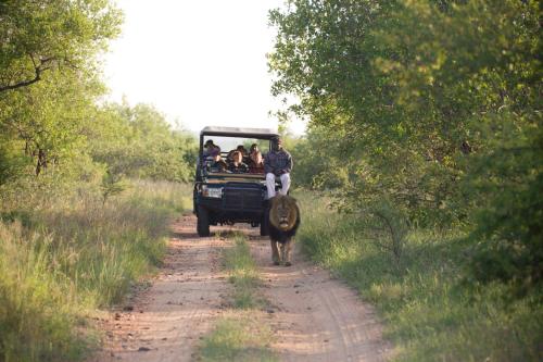 Επισκέπτες που μένουν στο Karongwe - Chisomo Safari Camp
