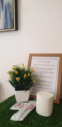 a table with a plant and a picture and scissors at Tacloban EVMC Gdex Transient House in Tacloban