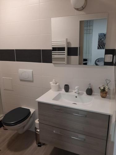 une salle de bain avec un lavabo, des toilettes et un miroir dans l'établissement Appartement T1 Hyper Centre place de la Victoire, à Bordeaux