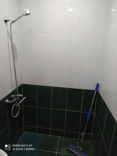 a shower in a bathroom with a green tiled wall at Gogichas tower in Borjomi