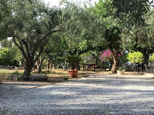 Κήπος έξω από το L'Ulivo in Villa Greco