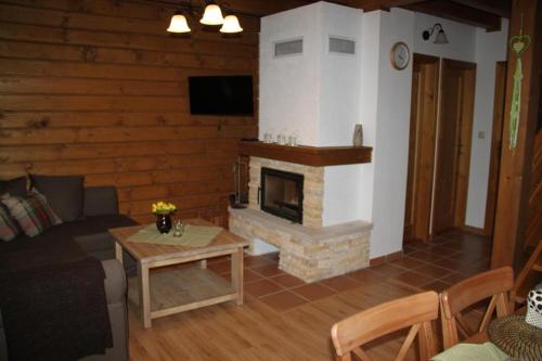 a living room with a couch and a fireplace at Drevenica Desina in Terchová