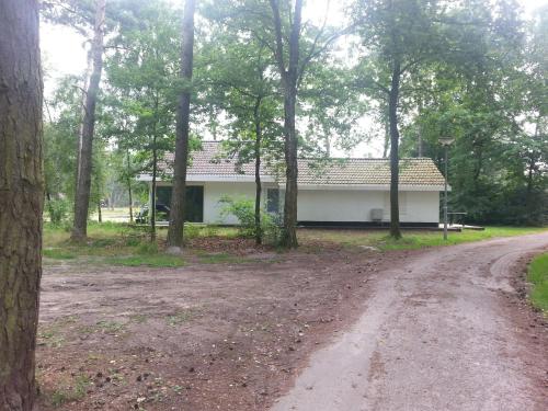 StramproyにあるComfortabele Vrijstaande Bungalow 3の未舗装路横の森の家