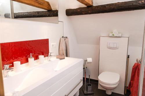 ein Badezimmer mit einem weißen Waschbecken und einem WC in der Unterkunft Ferienhaus Pfalzklause in Billigheim-Ingenheim