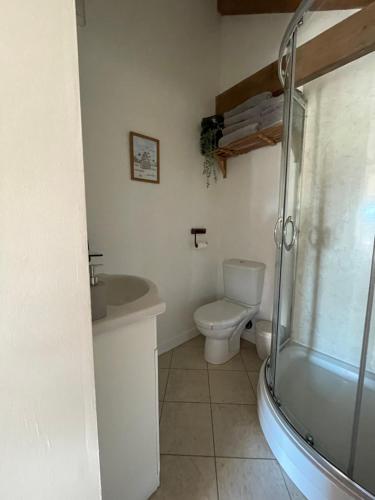 a bathroom with a shower and a toilet and a sink at The Barn Studio in Millers Dale