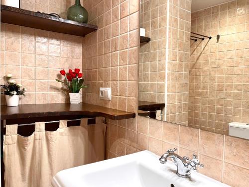 a bathroom with a sink and red flowers on a shelf at Apartament Boet - Ainet de Cardós in Vall de Cardos
