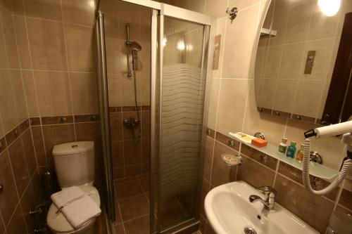 イスタンブールにあるアート シティ ホテル イスタンブールのバスルーム(シャワー、トイレ、シンク付)
