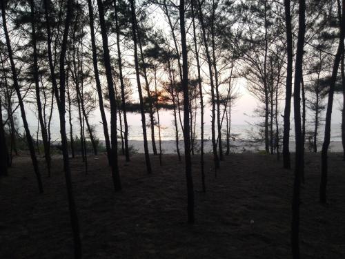 Gallery image of ADITYA BEACH RESORT in Achra
