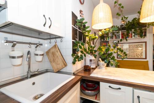 都靈的住宿－Porta Nuova APT x4 - City View，厨房配有水槽和一些盆栽植物