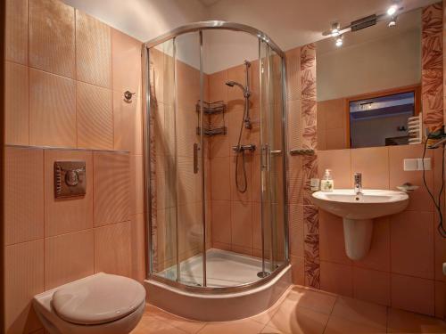 a bathroom with a shower and a toilet and a sink at Apartament Radowid 15 w centrum z basenem in Zakopane