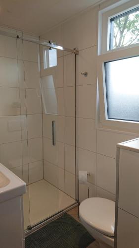 a bathroom with a shower with a toilet and a window at Cube IJsselzicht in Lathum