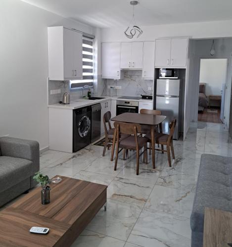 Kuchyň nebo kuchyňský kout v ubytování ICEBUILD APARTMENTS