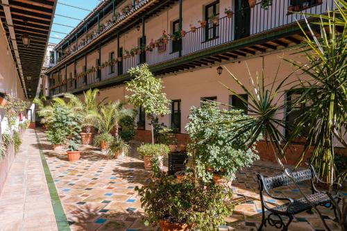 Apartamento con encanto en patio sevillano (203)