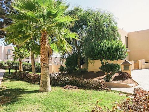uma palmeira num quintal ao lado de um edifício em Bungalow with 2 bedrooms, Playa la Tejita em El Médano
