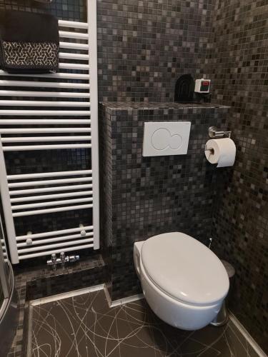 a bathroom with a toilet and a sink at Studio confort Verviers in Verviers