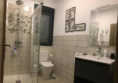 a bathroom with a shower and a toilet and a sink at Casa Rural Eralta in Dúrcal