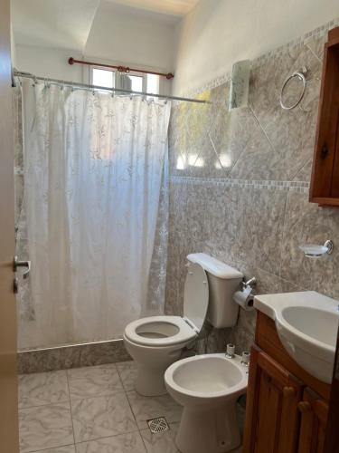 a bathroom with a toilet and a sink and a shower at Hostería Ostende in Ostende