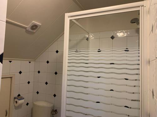 a bathroom with a shower with a toilet at RB Hostel in Zierikzee