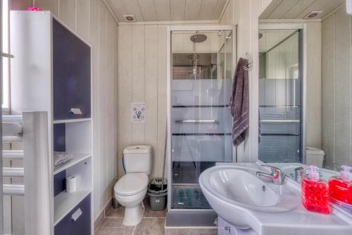 ein Bad mit einem WC, einem Waschbecken und einer Dusche in der Unterkunft Logements ouvriers à la campagne 