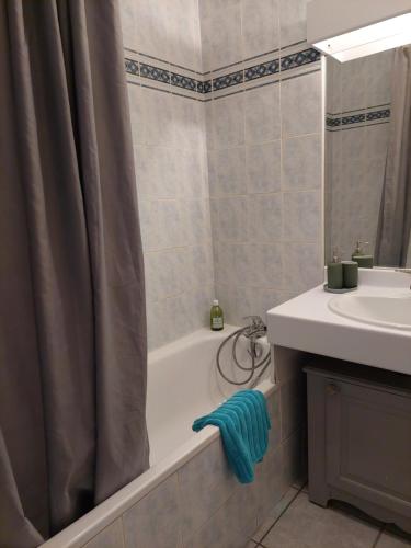 リヨンにあるLe Rooftop du 3のバスタブと洗面台のあるバスルーム