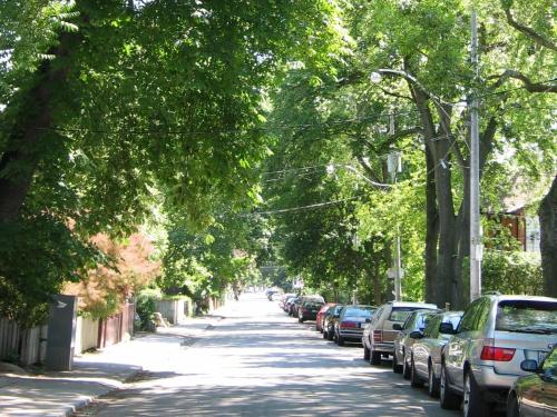 eine von Bäumen gesäumte Straße, auf der Autos geparkt sind in der Unterkunft A Seaton Dream in Toronto