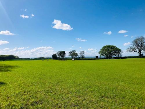 a field of green grass with trees in the background at Hollins Farm - Dog Friendly, Self Catering Holiday Lodges in Knaresborough