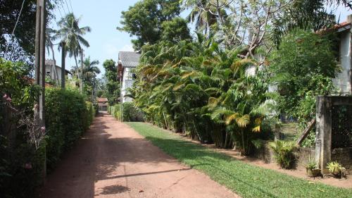 a path in a garden with trees and plants at Cinnamon Bungalow in Negombo