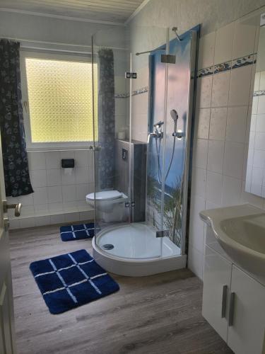 a bathroom with a shower and a toilet and a sink at Urlaub im blauen Haus in Sehestedt