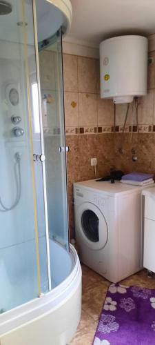 uma casa de banho com um chuveiro e uma máquina de lavar roupa em Smjestaj na selu Stankovic - Pliva em Šipovo