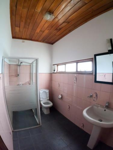 a bathroom with a shower and a toilet and a sink at Hill Crest Holiday Bungalow in Diyatalawa