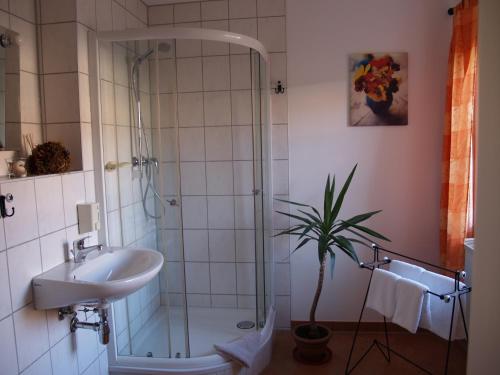 a bathroom with a shower and a sink and a plant at Hermanns Hotel Zum Goldenen Stern in Jüterbog
