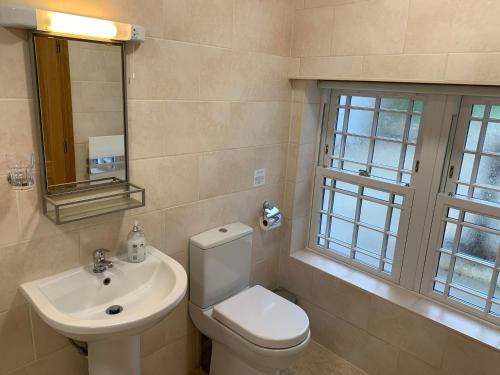 a bathroom with a toilet and a sink and a mirror at Arch Cottage @ The Old Vicarage in Pendeen