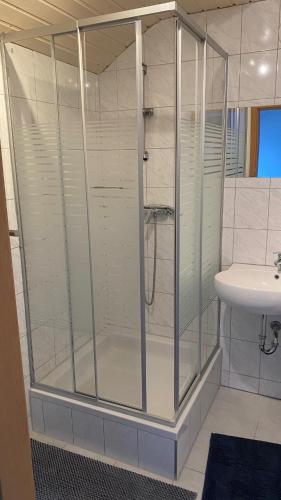a shower in a bathroom with a sink at 1 Zimmer Apartment DG in Eislingen