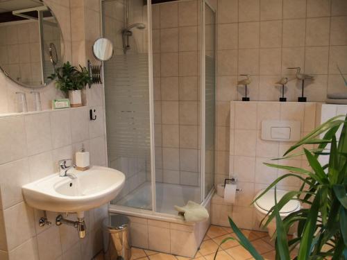 a bathroom with a shower and a sink at Hermanns Hotel Zum Goldenen Stern in Jüterbog