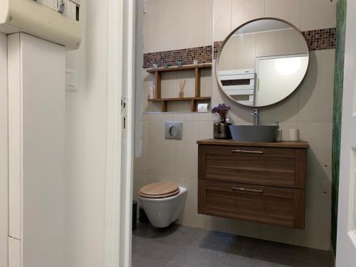a bathroom with a toilet and a mirror at Appartement tout confort avec terrasse in Reims