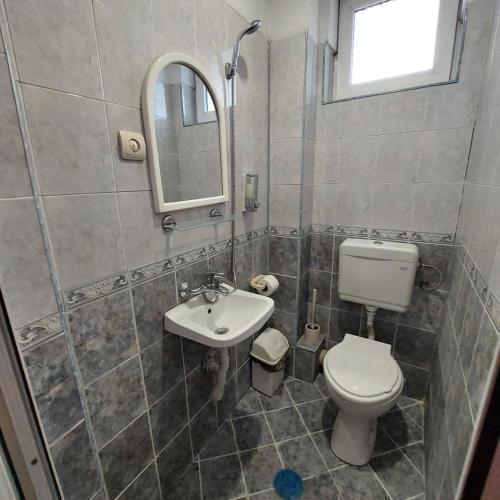 a bathroom with a toilet and a sink and a mirror at Guesthouse Pumpalovi in Dobrinishte