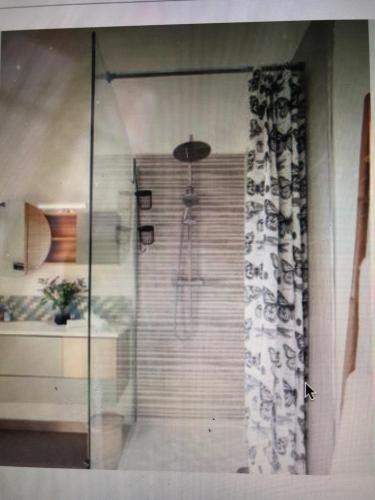 een glazen douche in een kamer met een gordijn bij Le 1818 Gîte in Vauvert