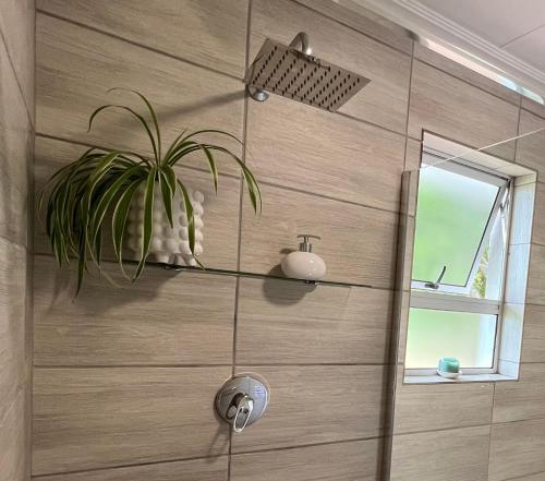 La salle de bains est pourvue d'une douche et d'une plante murale. dans l'établissement Pan's Breeze Overnight Accommodation, à Dalmada