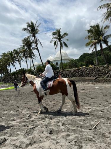 a man riding a horse on the beach at Wind Wave Ocean Homestay in Toucheng