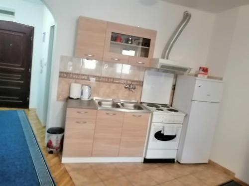 a kitchen with a stove and a sink and a refrigerator at Dunja - Sajam in Novi Sad