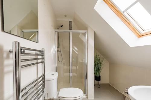 a bathroom with a shower and a toilet and a mirror at TM - Rana Court 1 Bedroom apartment with balcony in Oxford