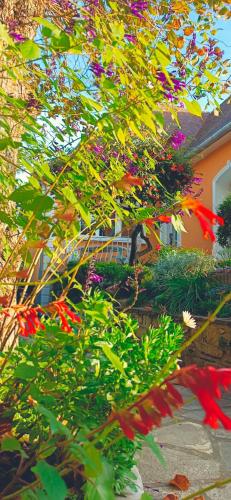 a bunch of flowers in front of a house at STUDIOS La Varenne Saint Maur entre PARIS ET DISNEYLAND in Saint-Maur-des-Fossés