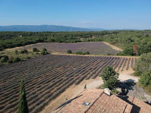 Φυσικό τοπίο κοντά σε αυτή η παραθεριστική κατοικία