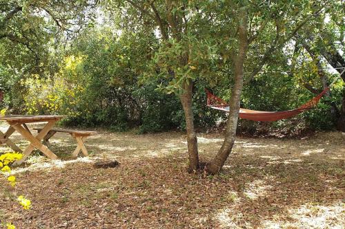 Κήπος έξω από το Maison de caractère dans Luberon avec piscine