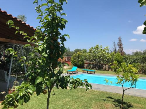 a pool with two benches next to a house at Villa Evelina in Kalamata
