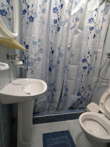 uma casa de banho com um lavatório, um WC e uma cortina de chuveiro. em Ivan Apartment Skopje em Skopje