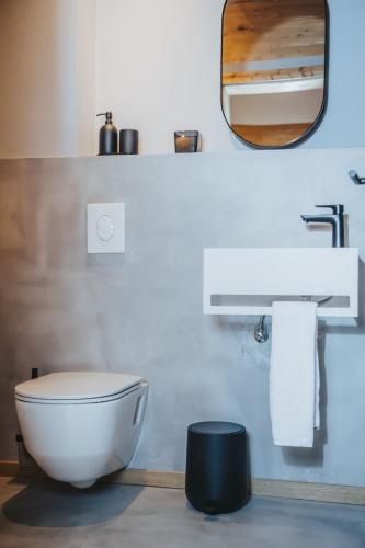 a bathroom with a white toilet and a mirror at Chalet Chalet 1018 by Interhome in Bad Gastein