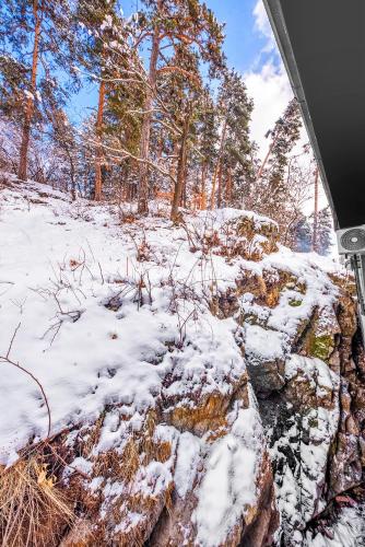 a snow covered ground with trees in the background at LALO Hotel Abastumani in Abastumani