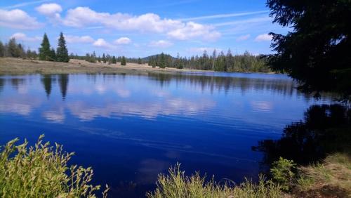 a blue lake with trees and clouds in the water at Resort Abertham - penzion Ellen in Abertamy